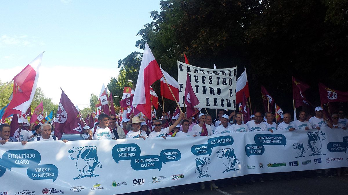 Mucha representación leonesa en la Marcha Blanca. | C. CENTENO