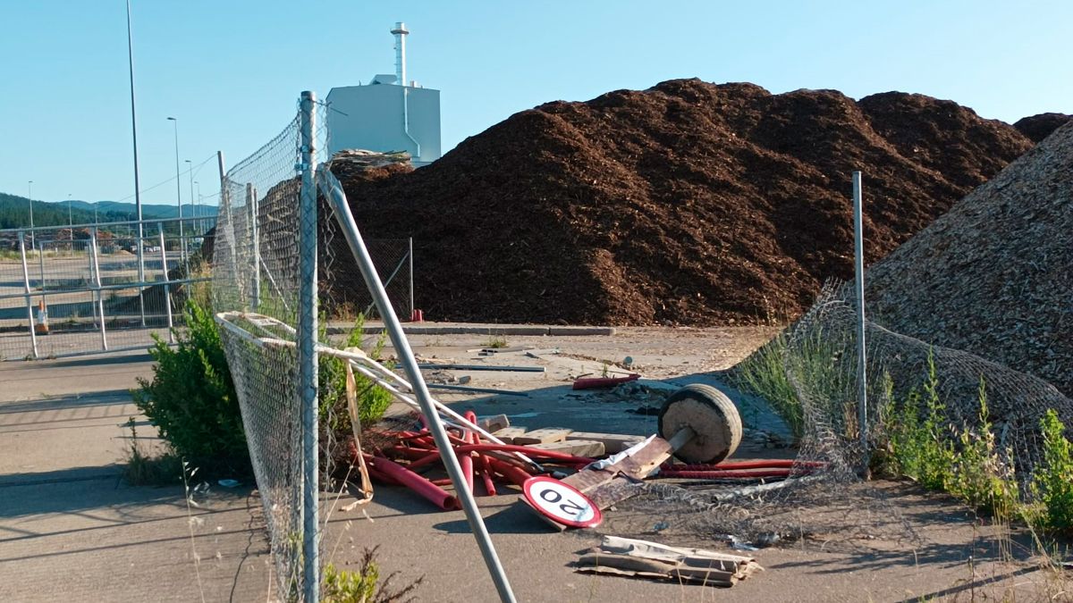 Estado de los apiles que dan biomasa a la central y que Bierzo Aire Limpio considera un peligro. | BAL