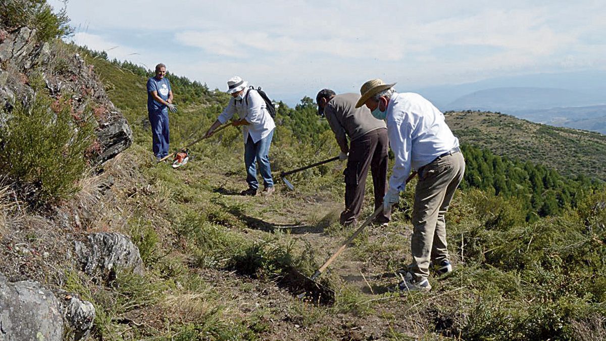 Un grupo de Promonumenta con su presidente Marcelino Fernández en plena faena.  J.A. GARCÍA VILLAR