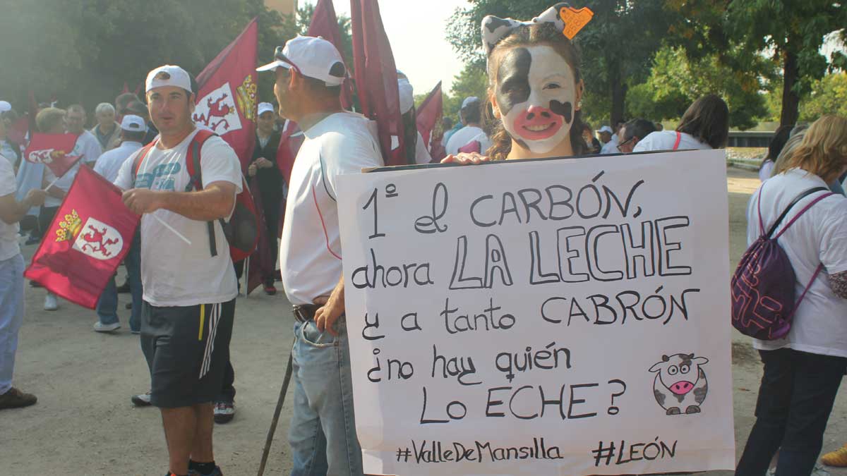 Una original de Valle de Mansilla, uno de los rostros de la generación que viene que ve la crisis en las explotaciones de su pueblo. | C.C.L.