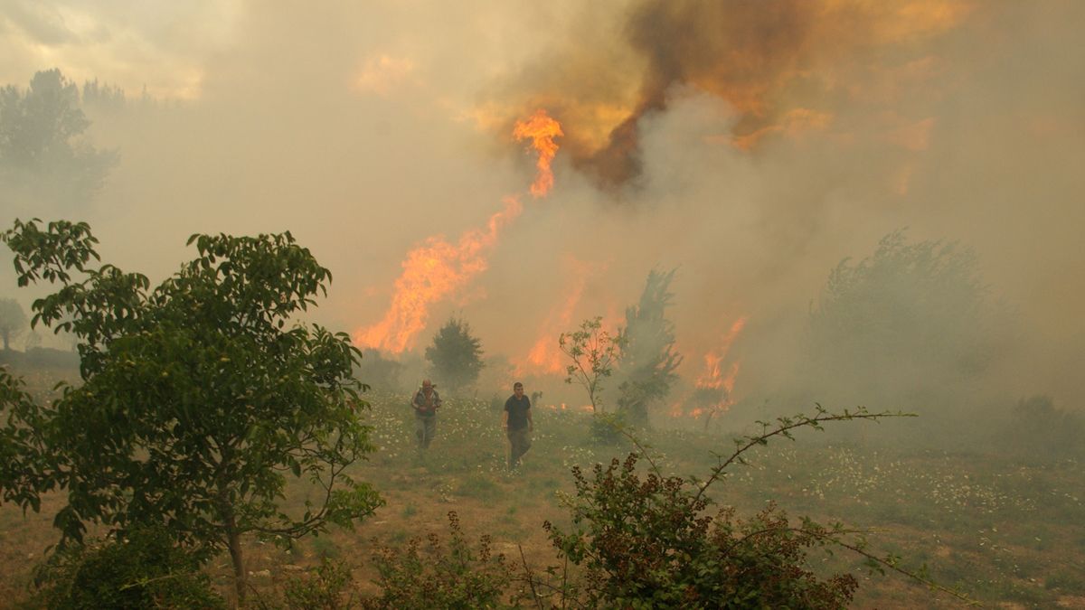 Imagen de las llamas cercanas a la población de Espinareda, el día 25 de julio.| Yuma