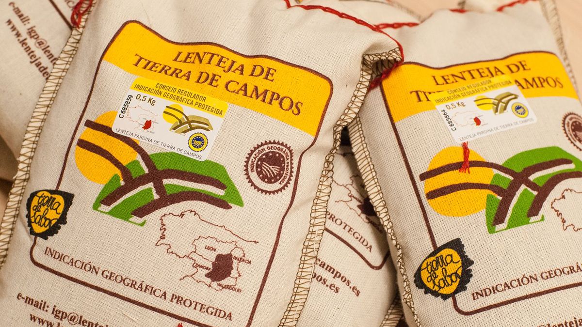 lenteja-tierra-de-campos-22-09-2020-1.jpg lenteja-tierra-de-campos-22-09-2020-1.jpg