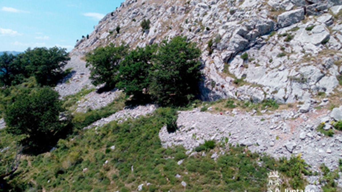 pico-gilbo-20721.jpg