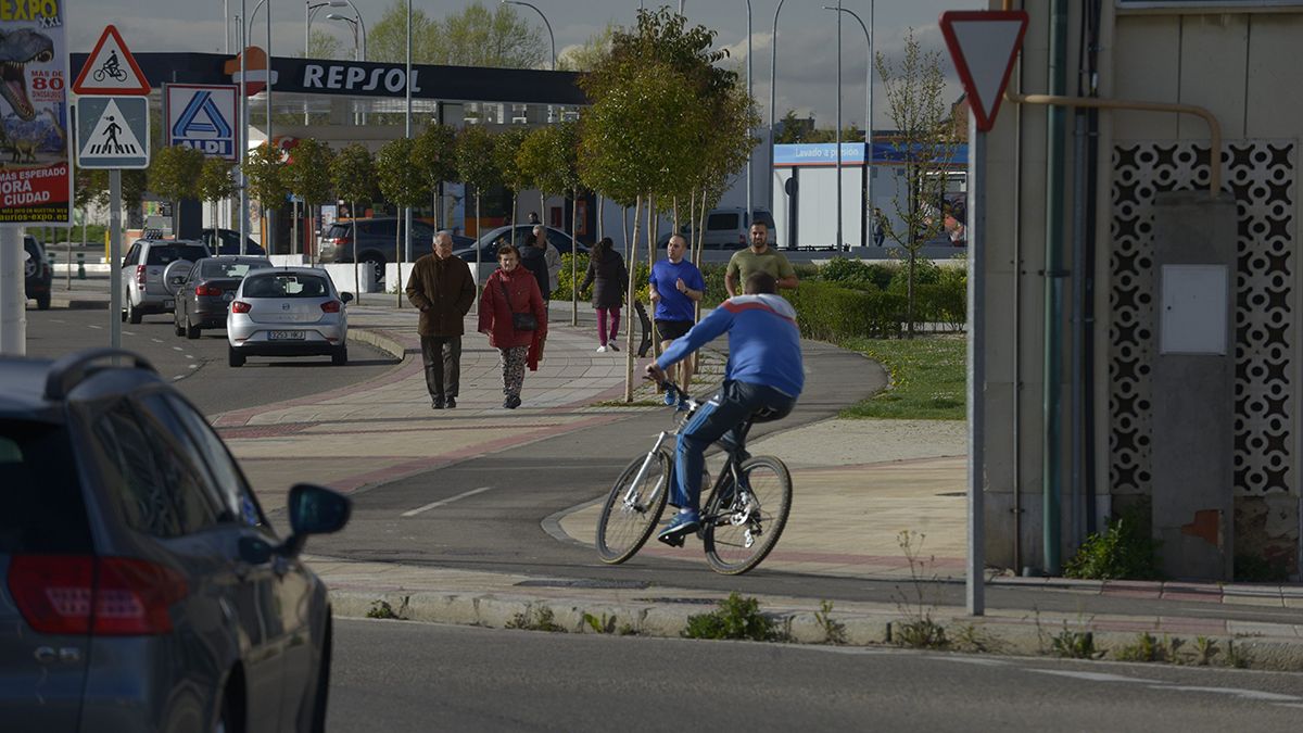 Imagen de archivo de uno de los carriles bici de León. | MAURICIO PEÑA