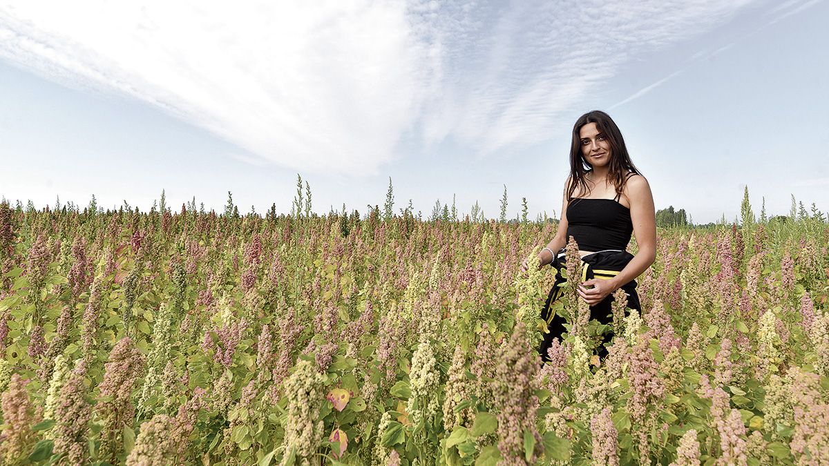 Raquel Rodríguez, de Bercianos del Páramo, en una de las fincas de quinoa, un producto por el que apuesta como alternativa para rotar cultivos. | SAÚL ARÉN