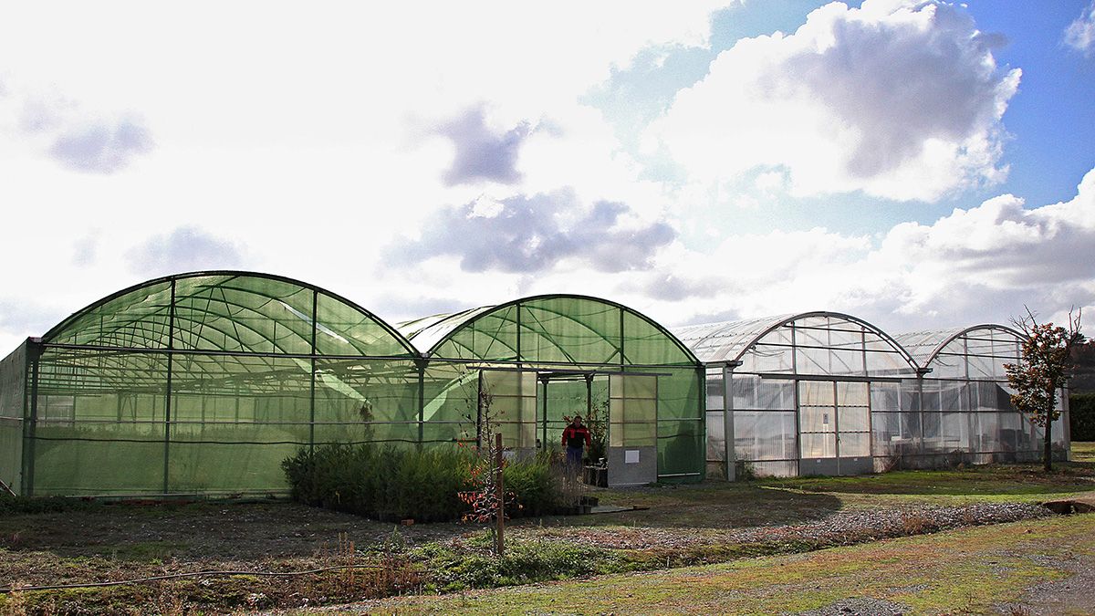 El Vivero Provincial está en Ribaseca. | L.N.C. El Vivero Provincial está en Ribaseca. | L.N.C.