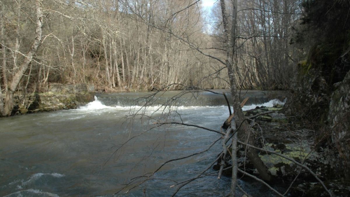 Imagen de archivo del río Ancares, de la web de la Reserva de Ancares Leoneses.