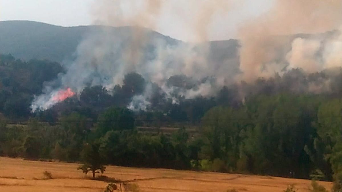 Imagen del fuego este jueves por la tarde. | @INFOCYL