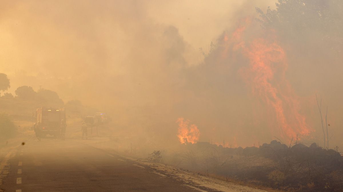 navalacruz-incendio-15082021.jpg navalacruz-incendio-15082021.jpg