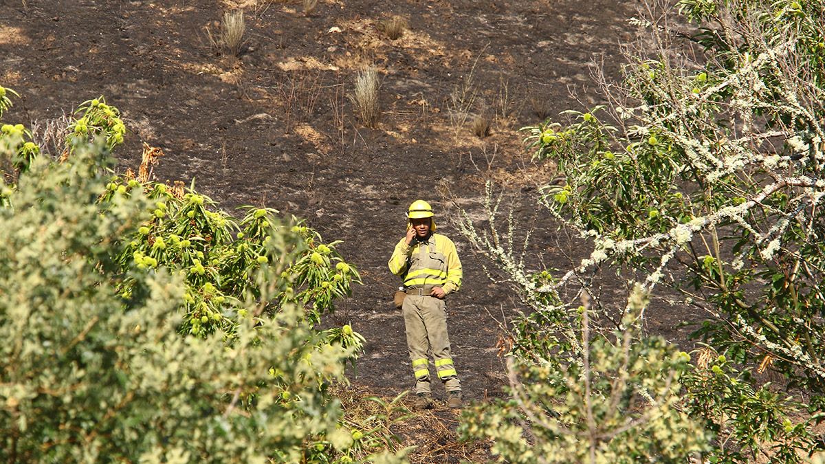 incendio-trabadelo-21821.jpg incendio-trabadelo-21821.jpg