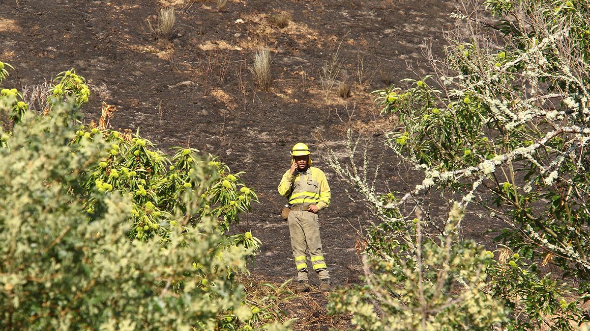 incendio-trabadelo-21821.jpg