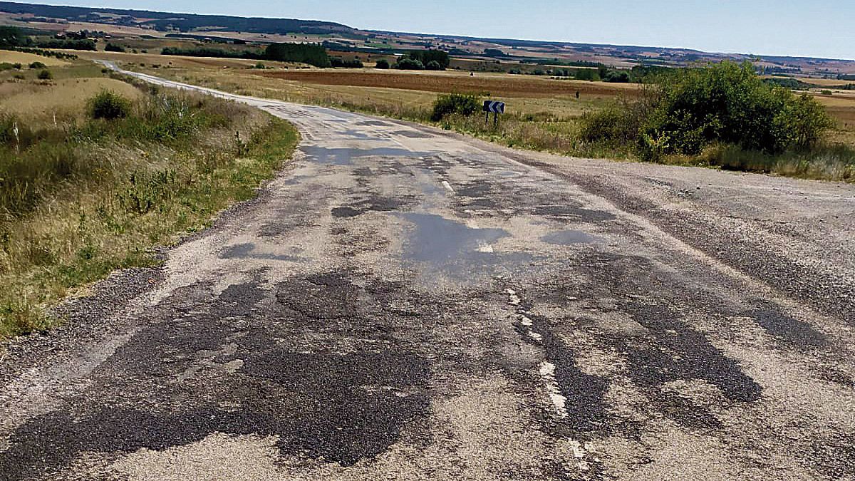Estado de la carretera que solicitan arreglar en Villamartín de Don Sancho. | L.N.C.