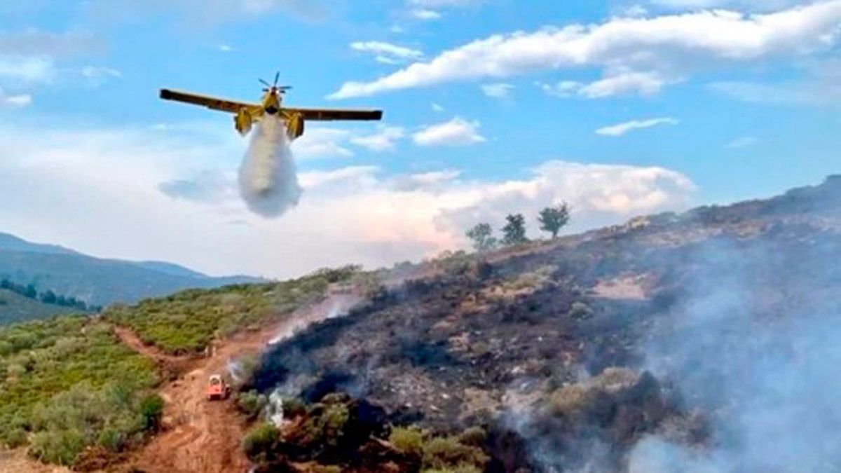 Las tareas buscan evitar que el fuego se extienda por el Parque Regional. | L.N.C.