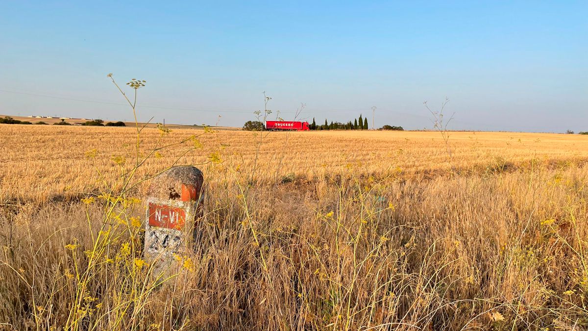 Bucólica imagen de uno de los hitos kilométricos del trazado, que da cuenta de su abandono. | RUTAVI