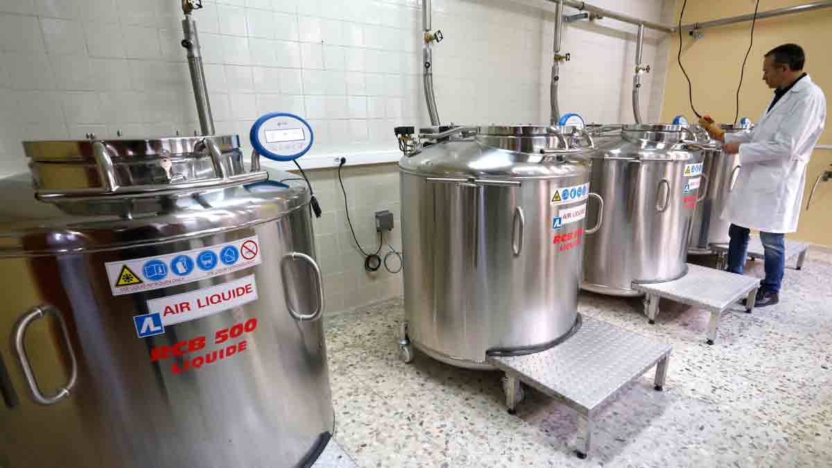 Instalaciones del Biobanco de la Facultad de Biológicas de la Universidad de León.| CARLOS CAMPILLO (ICAL)