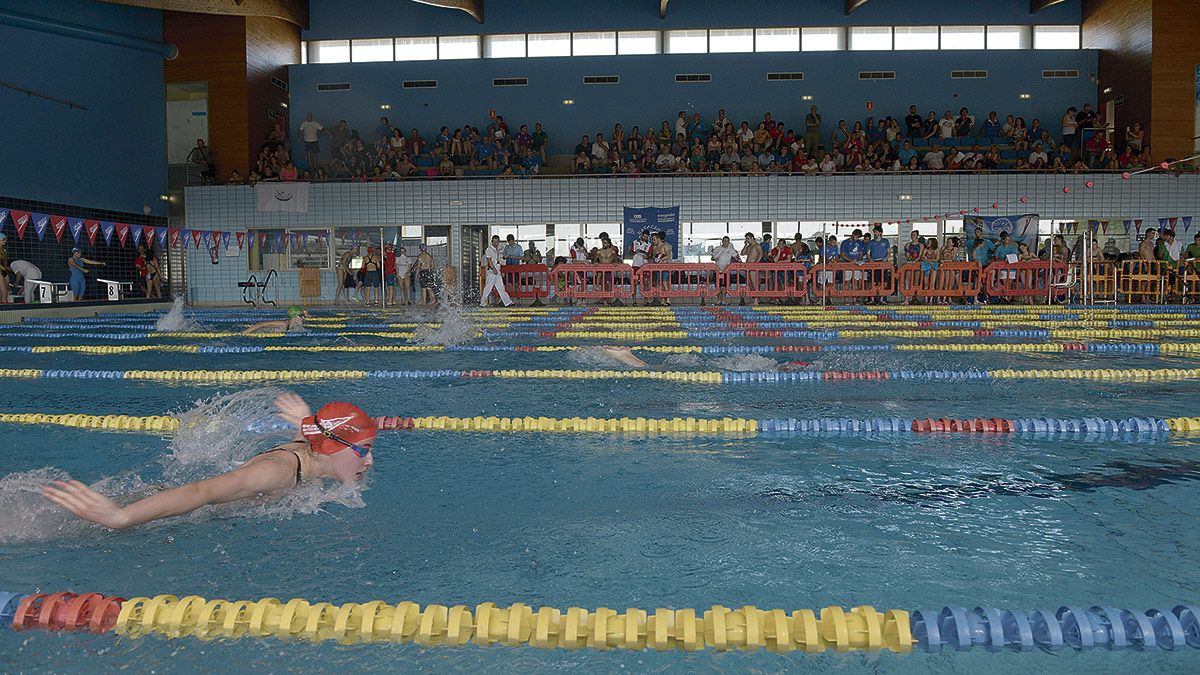 Una de las competiciones en la piscina climatizada de la Palomera. | M. PEÑA