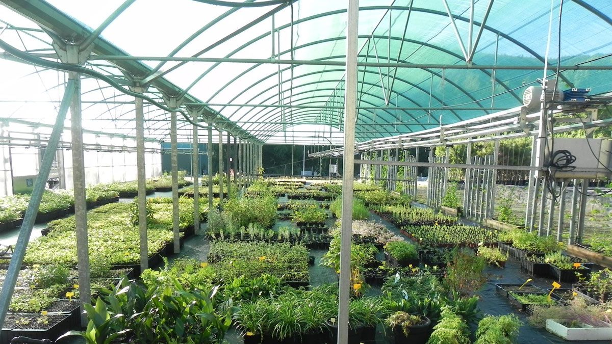 El vivero de la Ciuden se encuentra en el municipio de Igüeña. El vivero de la Ciuden se encuentra en el municipio de Igüeña.