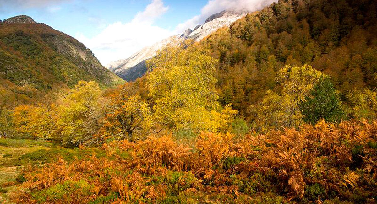 Vegabaño, un verdadero paraíso en otoño. | JAVIER VALLADARES