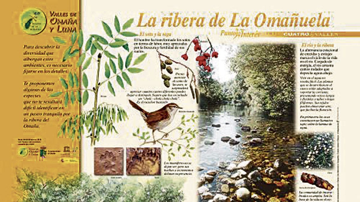 PIN de la ribera de La Omañuela sobre el río Omaña, que mantiene el ciclo natural de crecidas y estiajes. | CUATRO VALLES