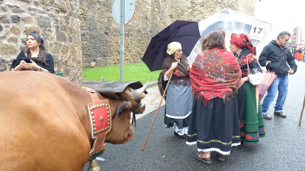 Lluvia en el desfile de San Froilán en una imagen de archivo. | MAURICIO PEÑA