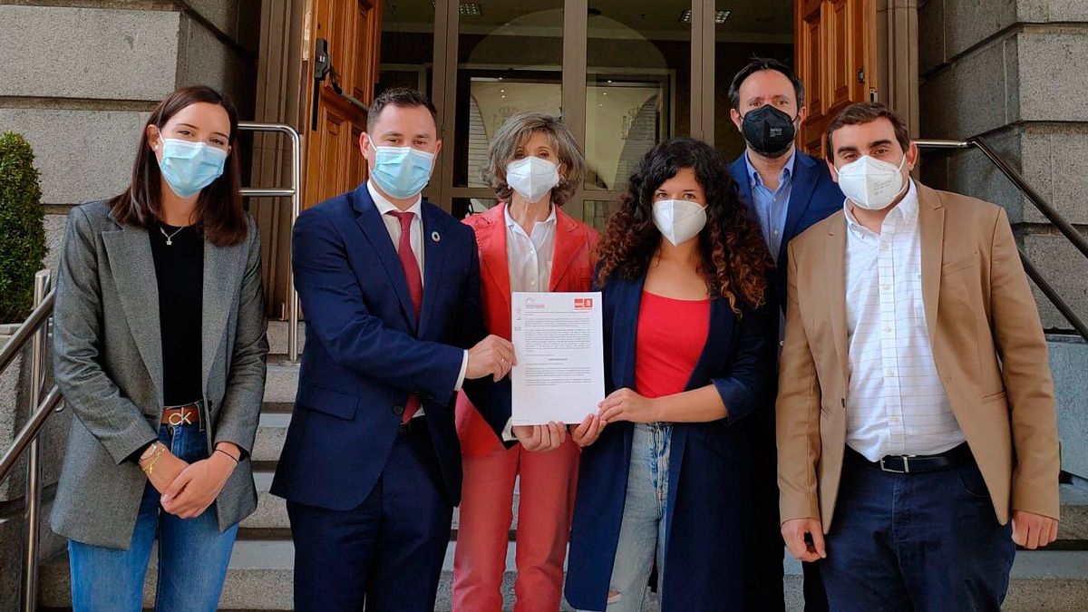 Imagen de los diputados y diputadas socialistas en el Congreso. | L.N.C.