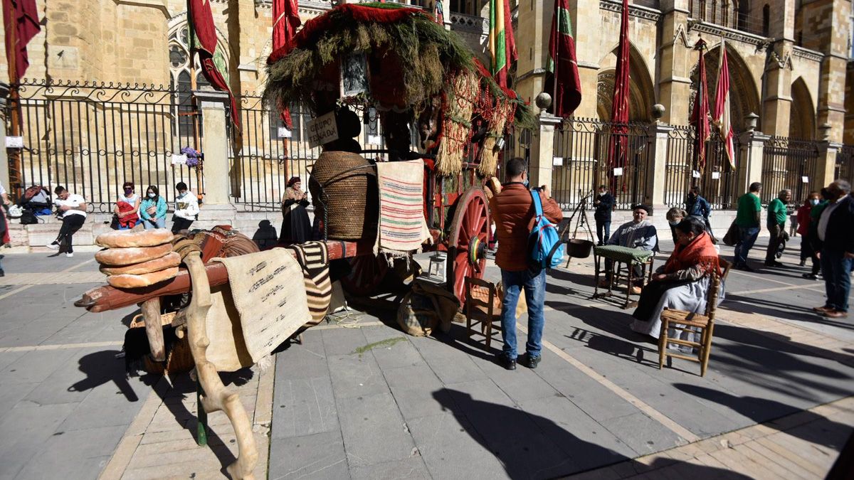 Uno de los carros engalanados situados junto a la Catedral. | SAÚL ARÉN