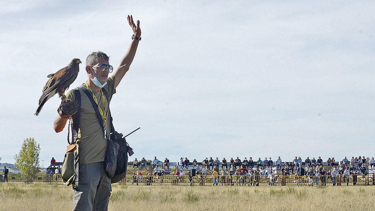 Competición de cetrería este sábado en La Virgen del Camino. | MAURICIO PEÑA