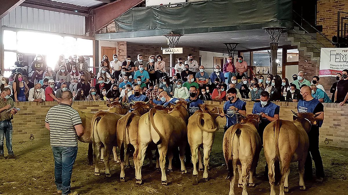 Un momento del certamen celebrado este fin de semana el Villablino. | L.N.C.