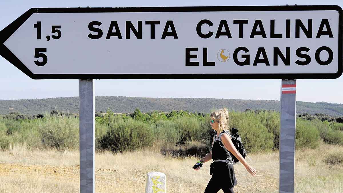 La finca del detenido se ubica entre Castrillo y Santa Catalina. | DANIEL MARTÍN