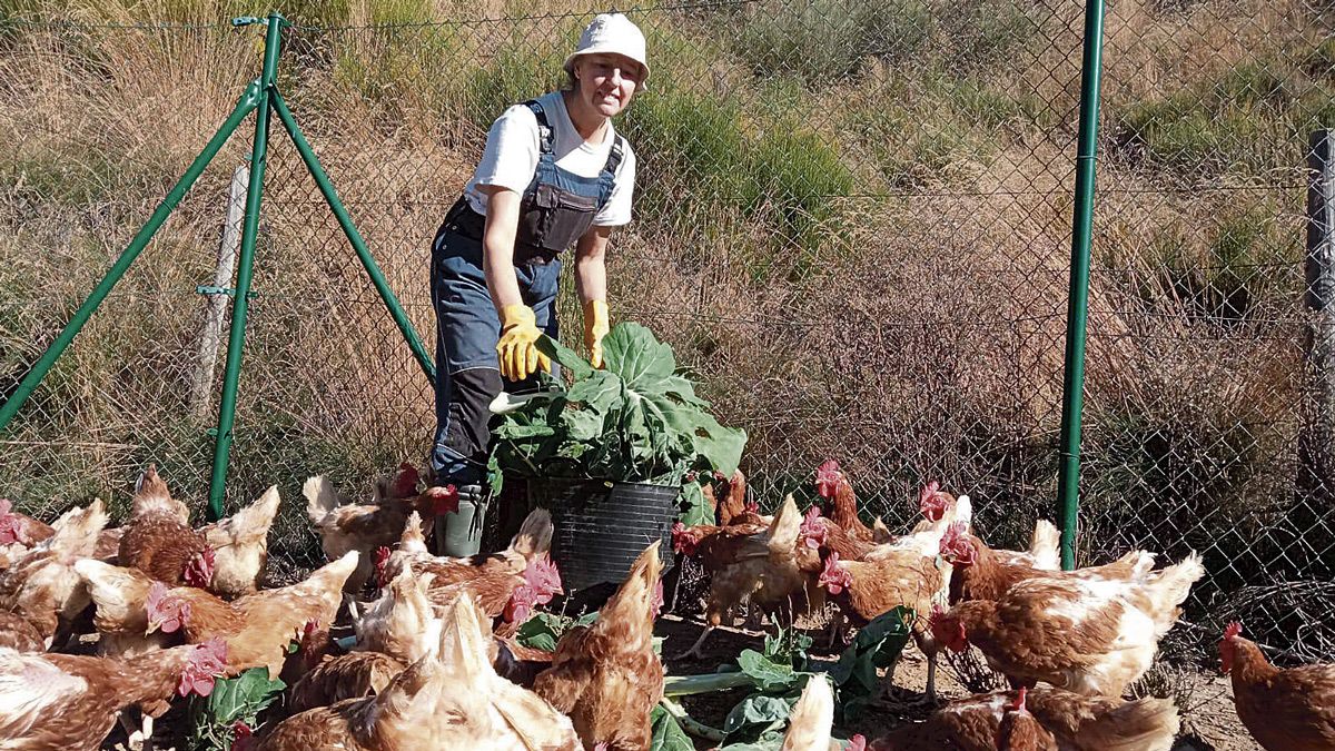 Nélida Gutiérrez produce huevos ecológicos en la localidad de Villanueva de Omaña. | L.N.C.