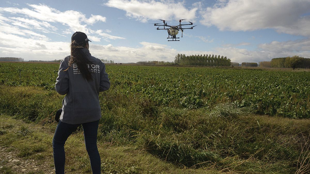 El dron para fumigar cultivos con el que cuenta Baltor pesa 25 kilos y requiere de formación específica para su uso. | REPORTAJE GRÁFICO: MAURICIO PEÑA