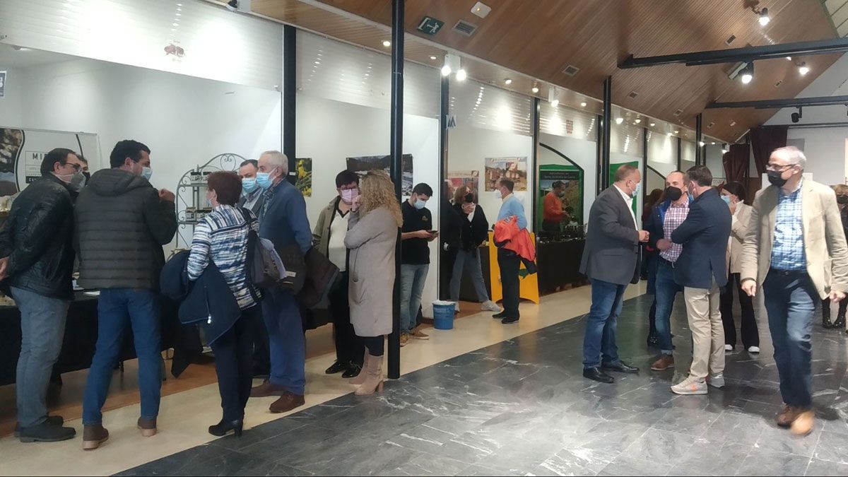 Los cabezas de las distintas administraciones valoraron los Presupuestos en la feria de la miel de Camponaraya. | M.I.