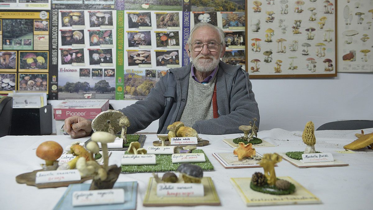 José Ángel González Cuenca, en la Asociación Micológica de San Jorge, junto a algunas réplicas que ha elaborado. | MAURICIO PEÑA