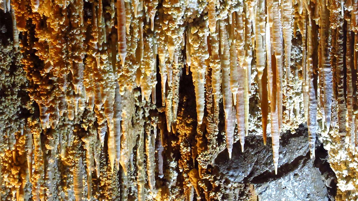 Formación de estalactitas en la Cueva de Llamazares. | L.N.C. Formación de estalactitas en la Cueva de Llamazares. | L.N.C.