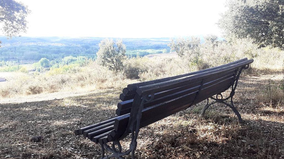 Uno de los paisajes típicos de la zona. | AYTO SARIEGOS