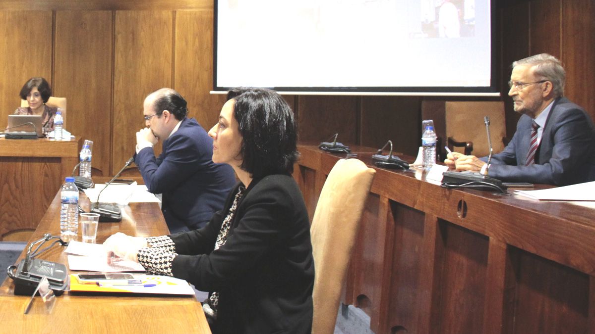 Ruth Morales, de Ciudadanos, en la bancada delantera, y Tarsicio Carballo, detrás, durante un Pleno.