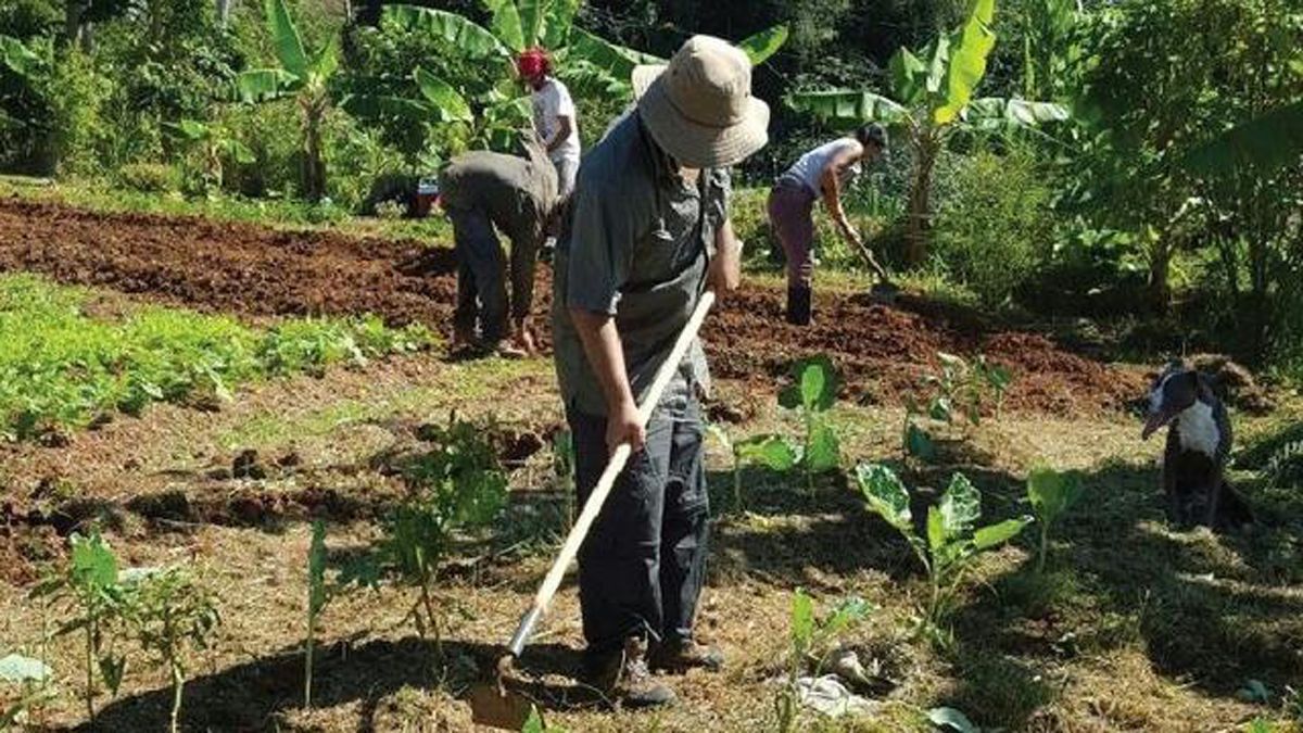 El curso espera poder encajar en el mercado laboral a los participantes.