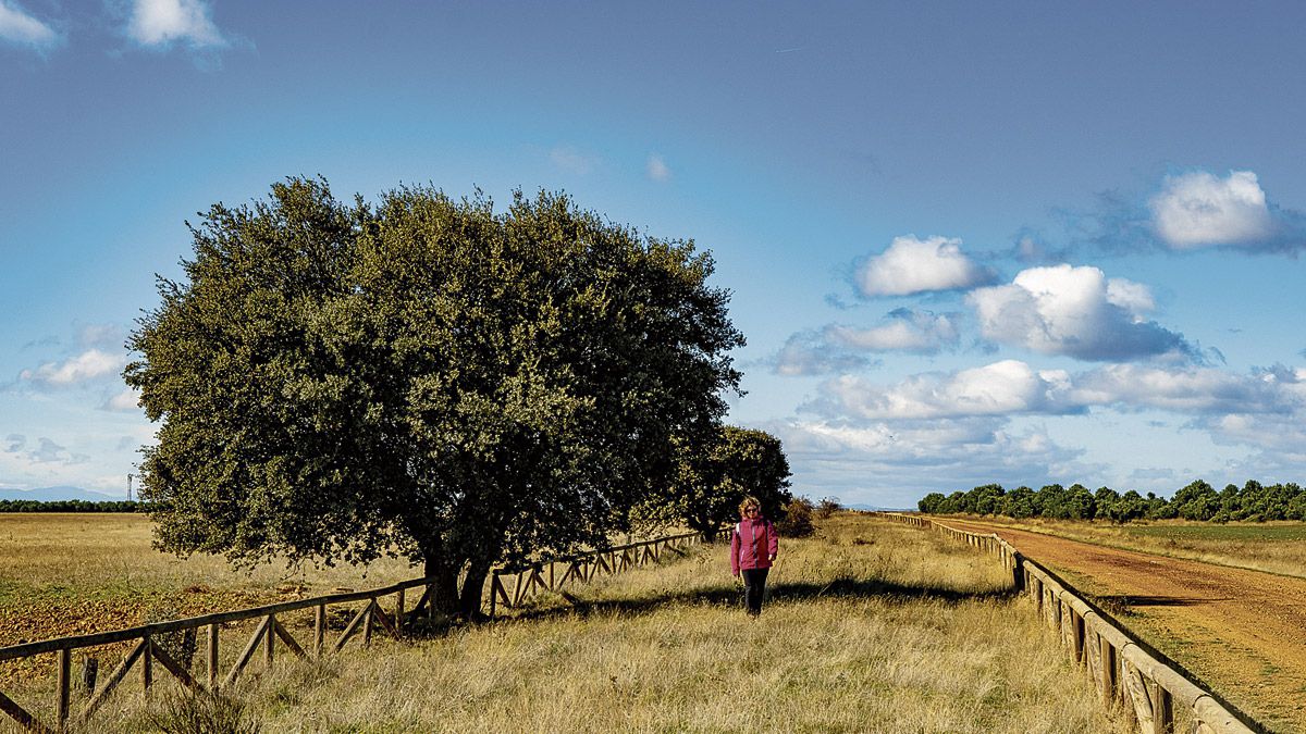 Primer tramo de los restos cercados de la Vía Trajana. | VICENTE GARCÍA