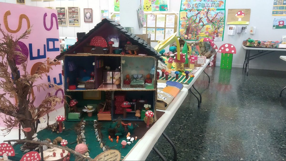 Las jornadas micológicas tuvieron una alta repercusión entre los escolares y supusieron una mirada a un sector por desarrollar. | M.I.