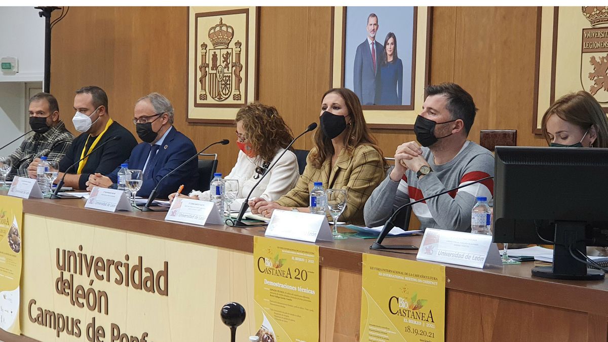 La mesa inaugural de las jornadas técnicas de Biocastanea, con expertos y representantes políticos. | L.N.C