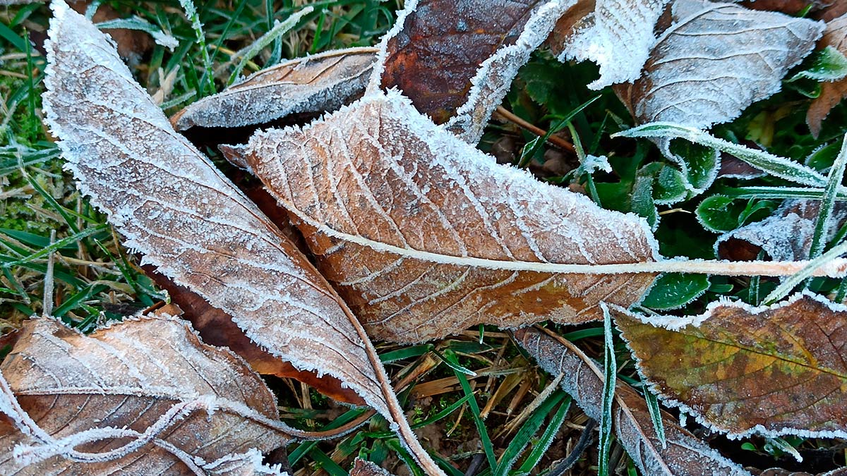 temperaturas-aemet-191121.jpg