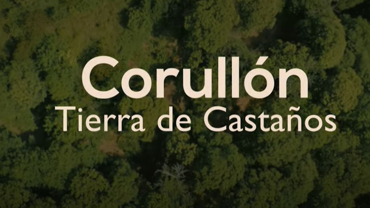 corullweb.jpg corullweb.jpg