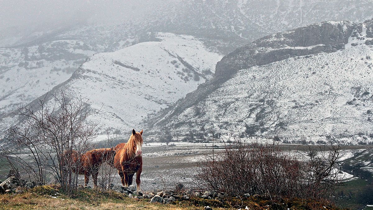 Se espera nieve en la provincia este fin de semana.