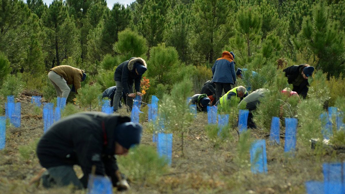 Los participantes del proyecto ‘Recupera tu bosque’ en la iniciativa desarrollada en Castrocontrigo. | L.N.C.