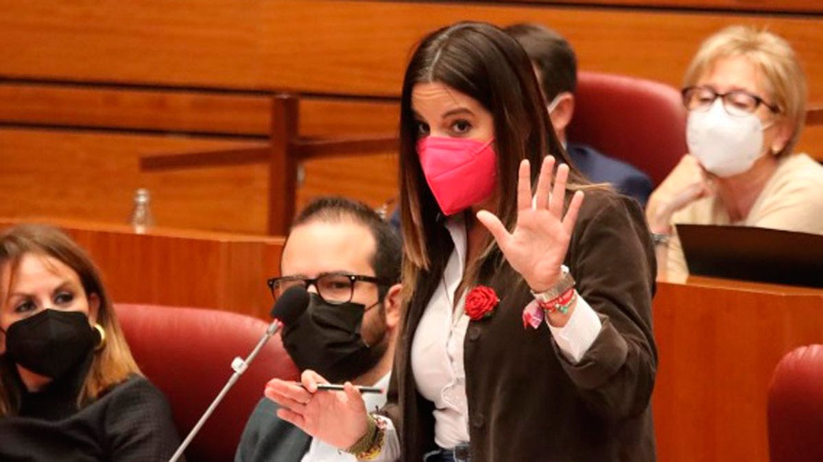 Nuria Rubio, portavoz del Grupo Parlamentario Socialista. | L.N.C.