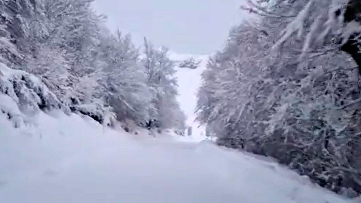 Situación de la carretera en el Puerto del Pando. | L.N.C.