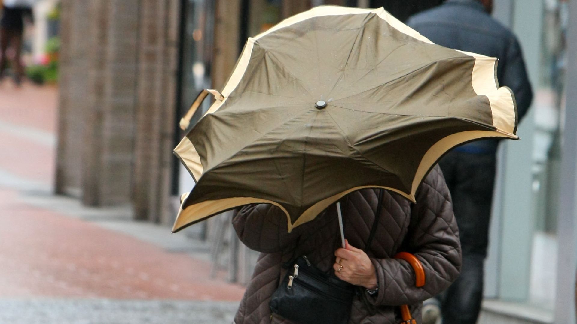 Temporal de frío, viento y lluvia | ICAL