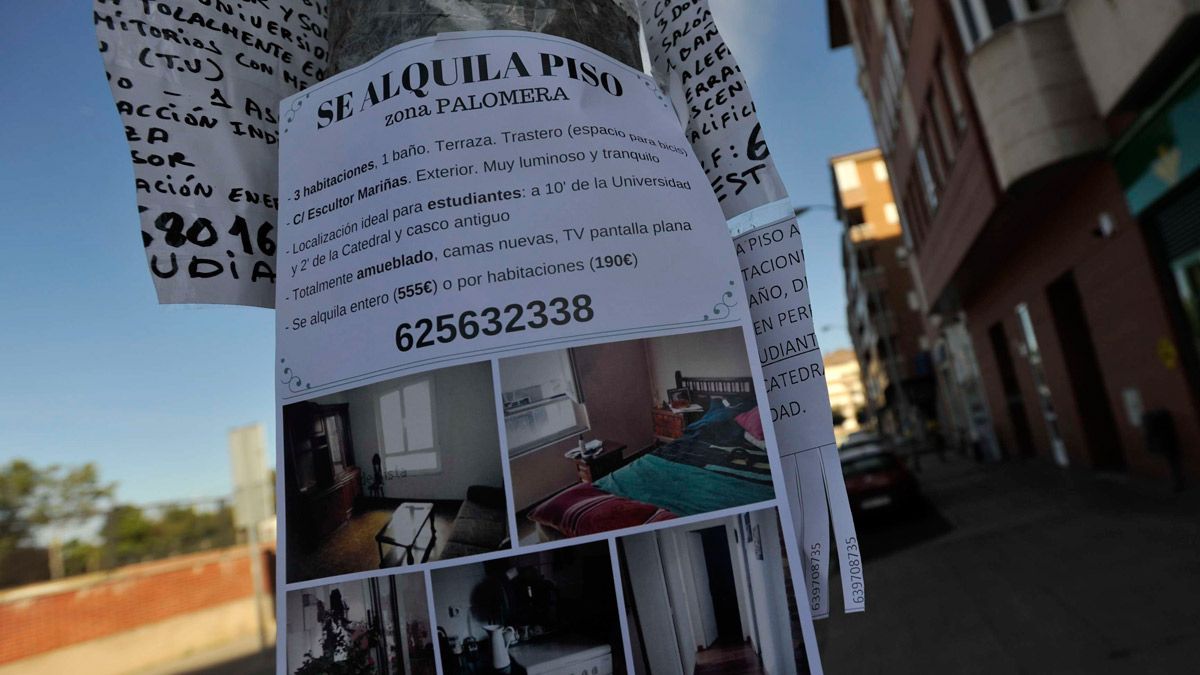 Imagen de archivo de alquileres de pisos en la ciudad de León. | DANIEL MARTÍN