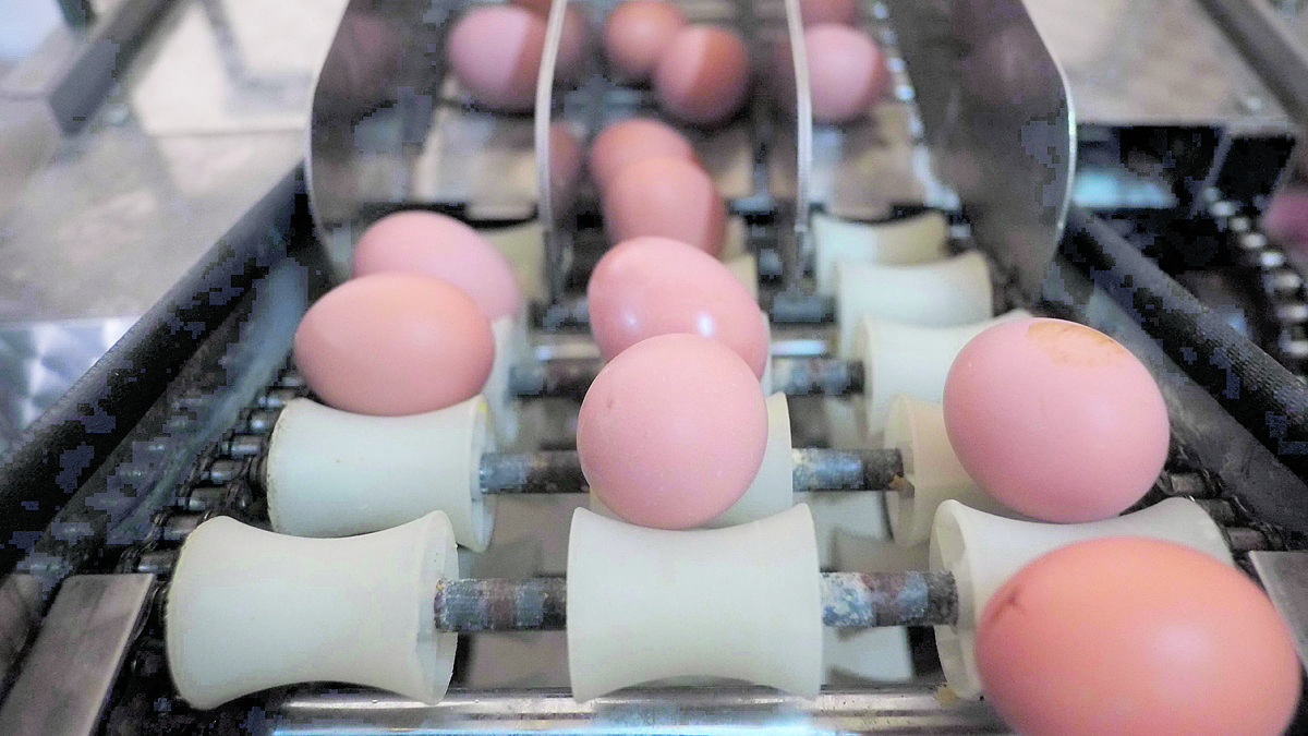 La alimentación sigue liderando las exportaciones. | DANIEL MARTÍN La alimentación sigue liderando las exportaciones. | DANIEL MARTÍN