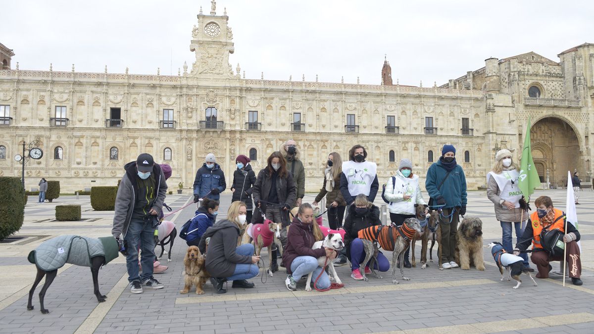 La plaza de San Marcos fue el punto de arranque del paseo con perros en adopción. | MAURICIO PEÑA